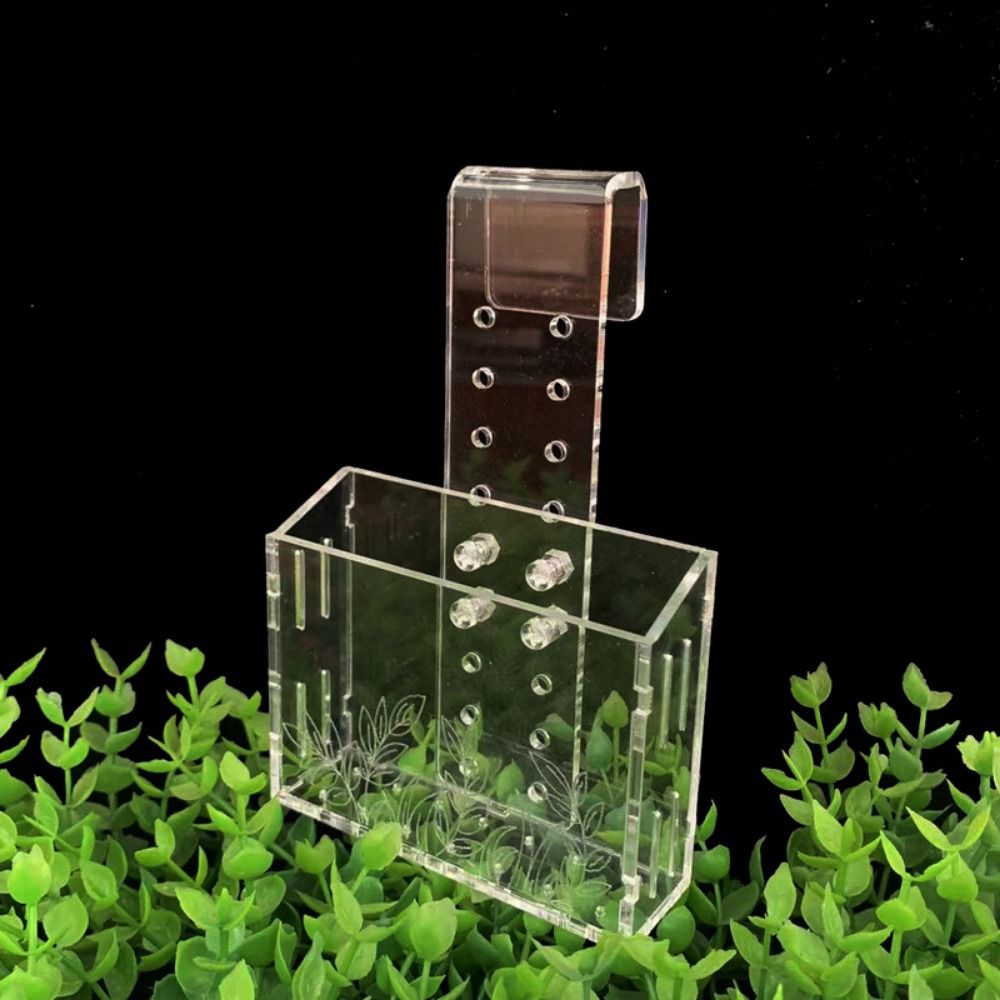 Wall Hanging Aquarium Plants C - مراجعة Aquarium Planted Wall وسعره