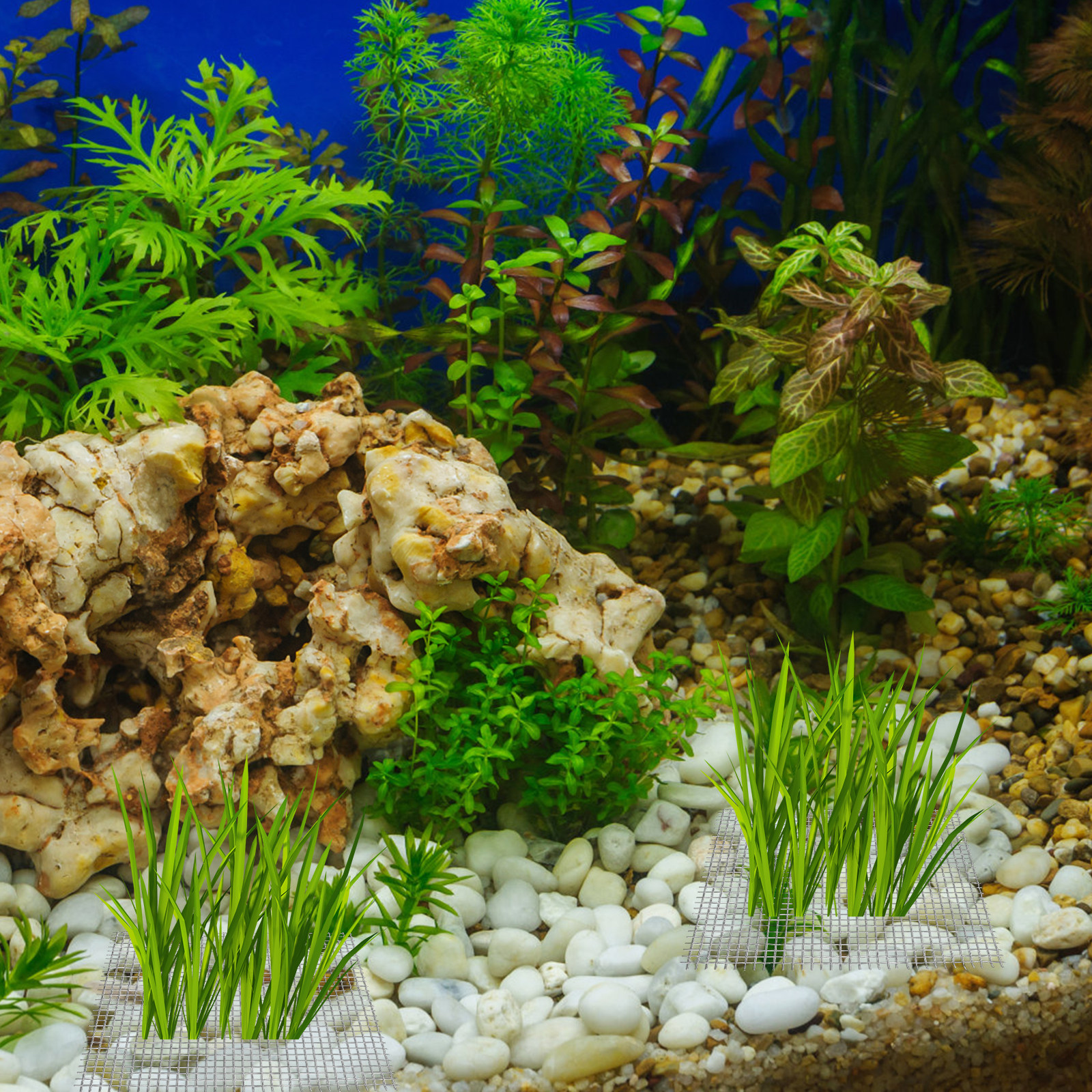 15Pcs Aquatic Moss Mesh Stainl - مراجعة Aquarium Planted Wall وسعره