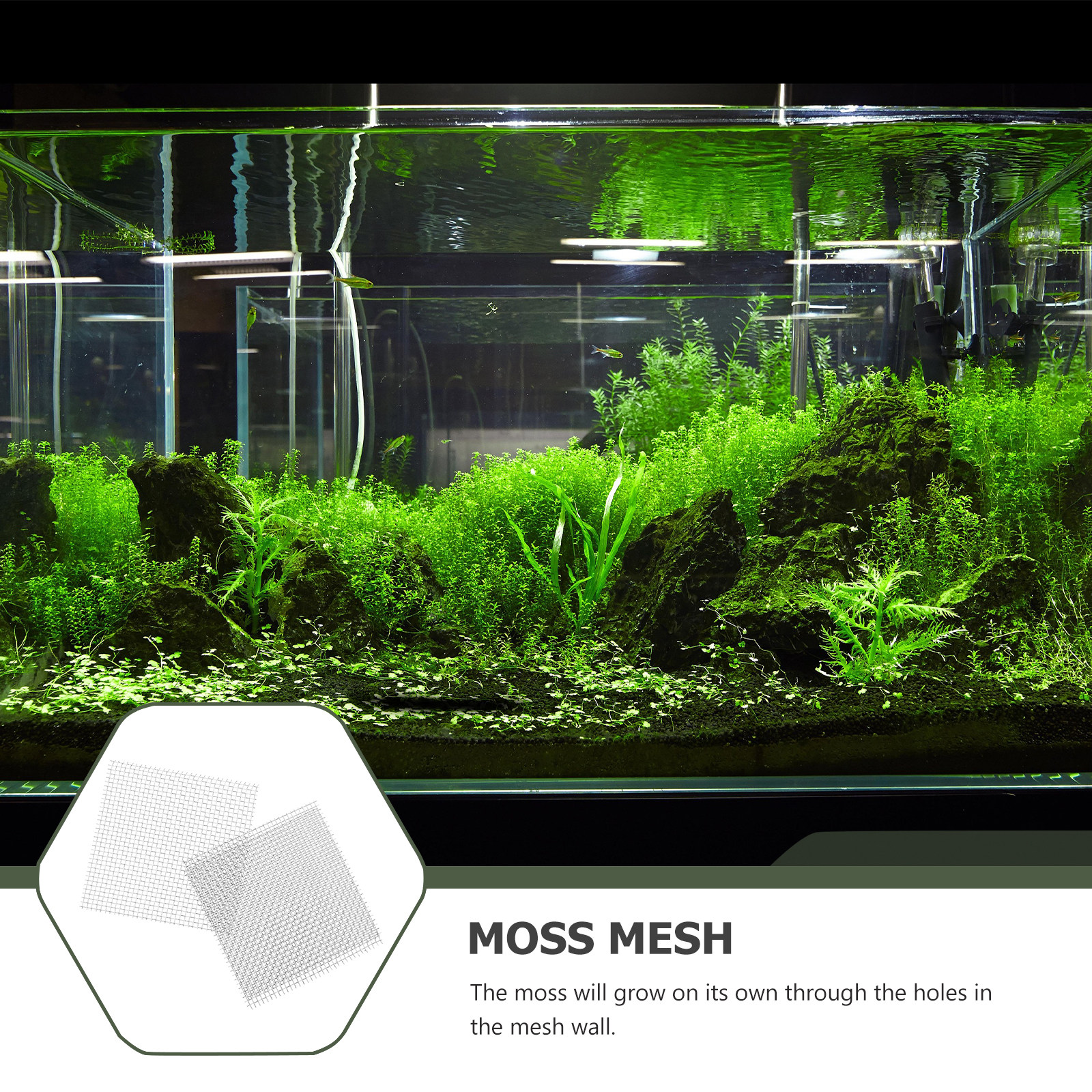 15Pcs Aquatic Moss Mesh Stainl - مراجعة Aquarium Planted Wall وسعره