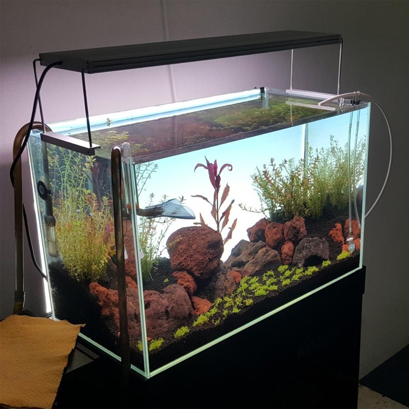 Best-Selling LED Aquarium Lamp - مراجعة Planted Aquarium Best Fish وسعره