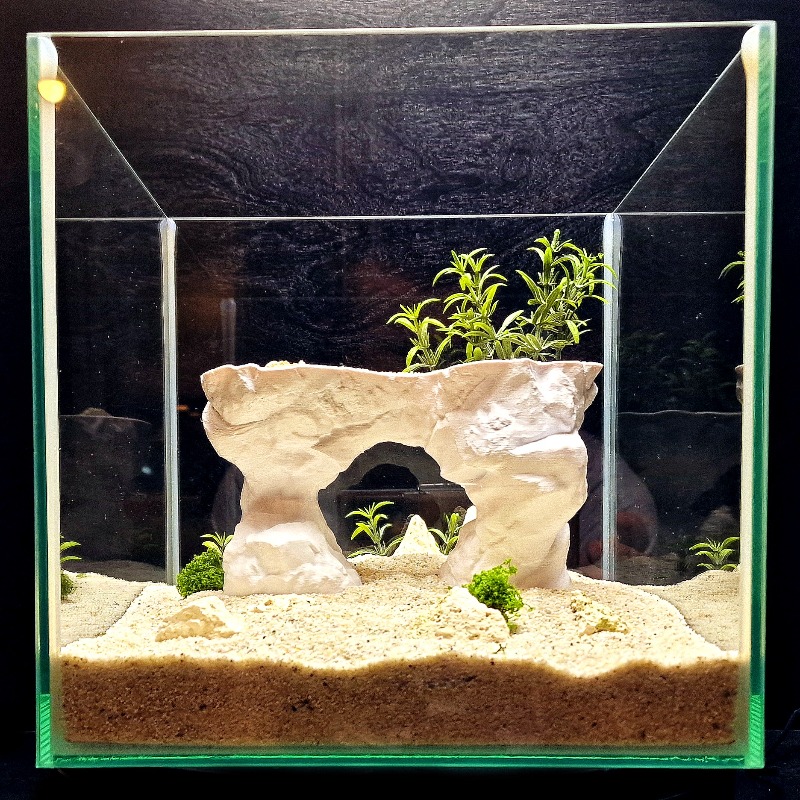 3D Printed Aquarium Planting B - مراجعة Aquarium Planted Tank Soil وسعره