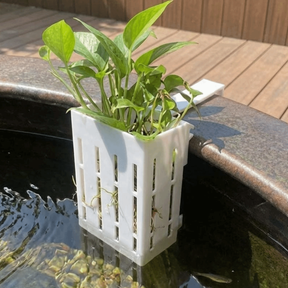 Wall-Mounted Aquarium Plant Ba - مراجعة Aquarium Planted Wall وسعره