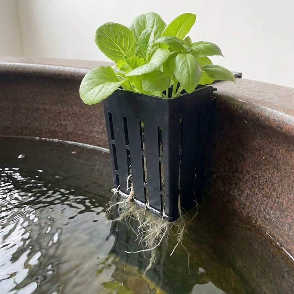Wall-Mounted Aquarium Plant Ba - مراجعة Aquarium Planted Wall وسعره