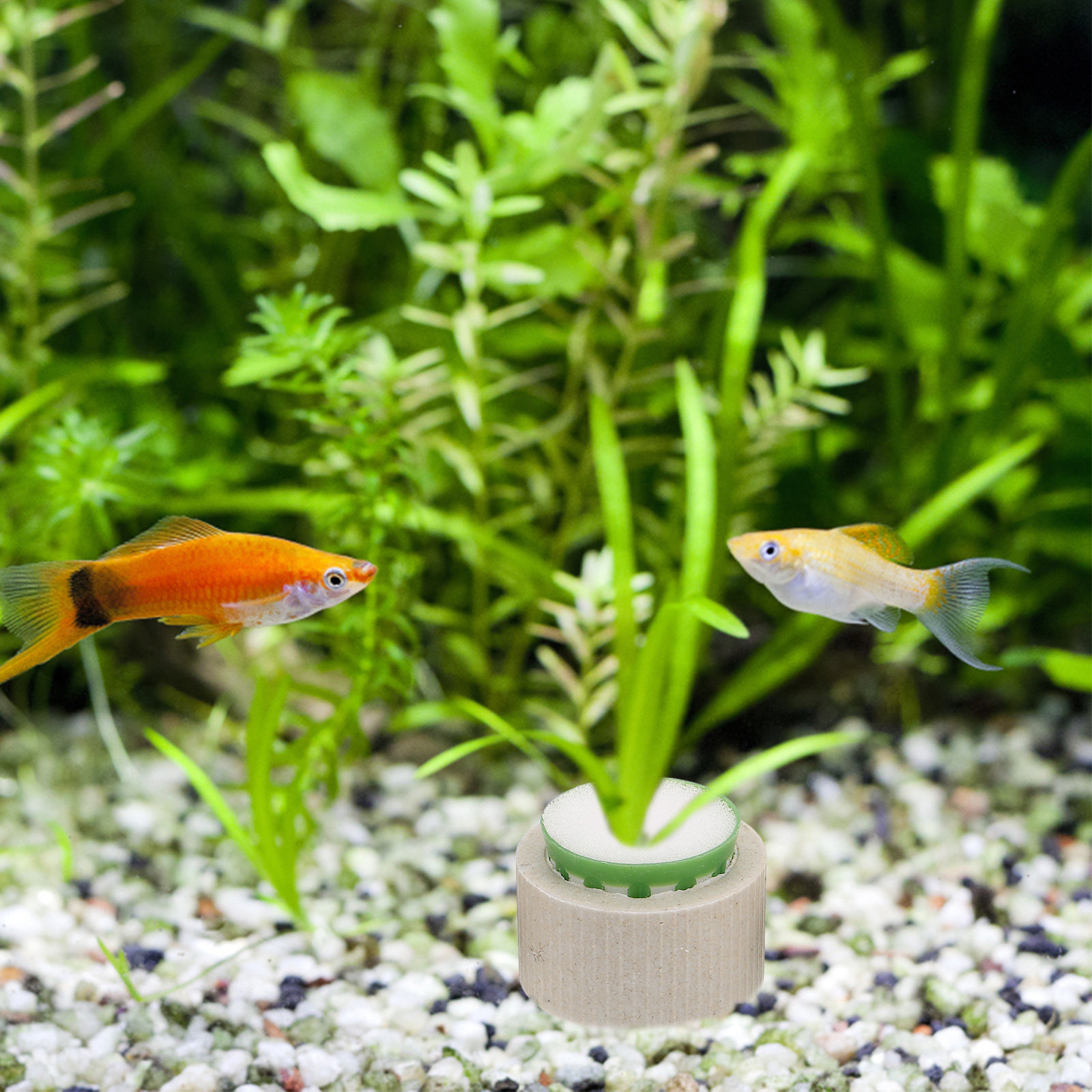 9Pcs Ceramic Aquarium Plant Ri - مراجعة Aquarium Plant Nutrients وسعره
