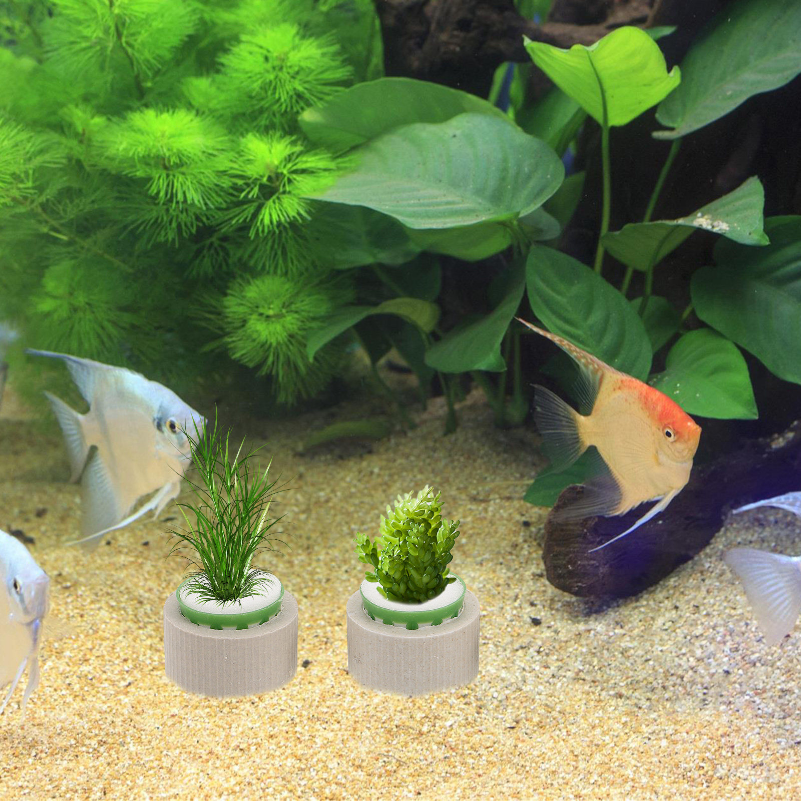 9Pcs Ceramic Aquarium Plant Ri - مراجعة Aquarium Plant Nutrients وسعره