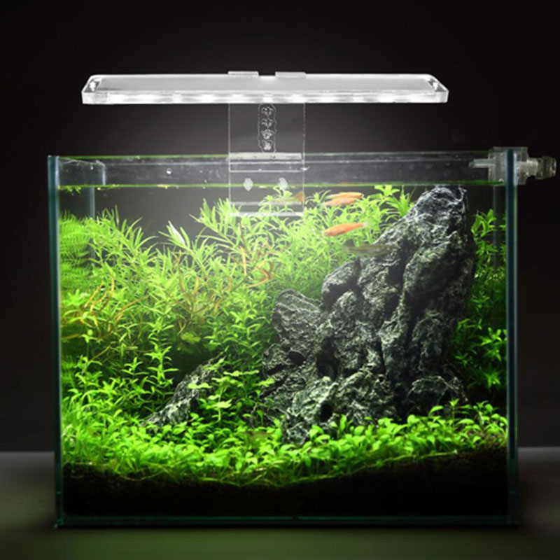 LED Aquarium Lamp Plant Light  - مراجعة Planted Aquarium Best Fish وسعره