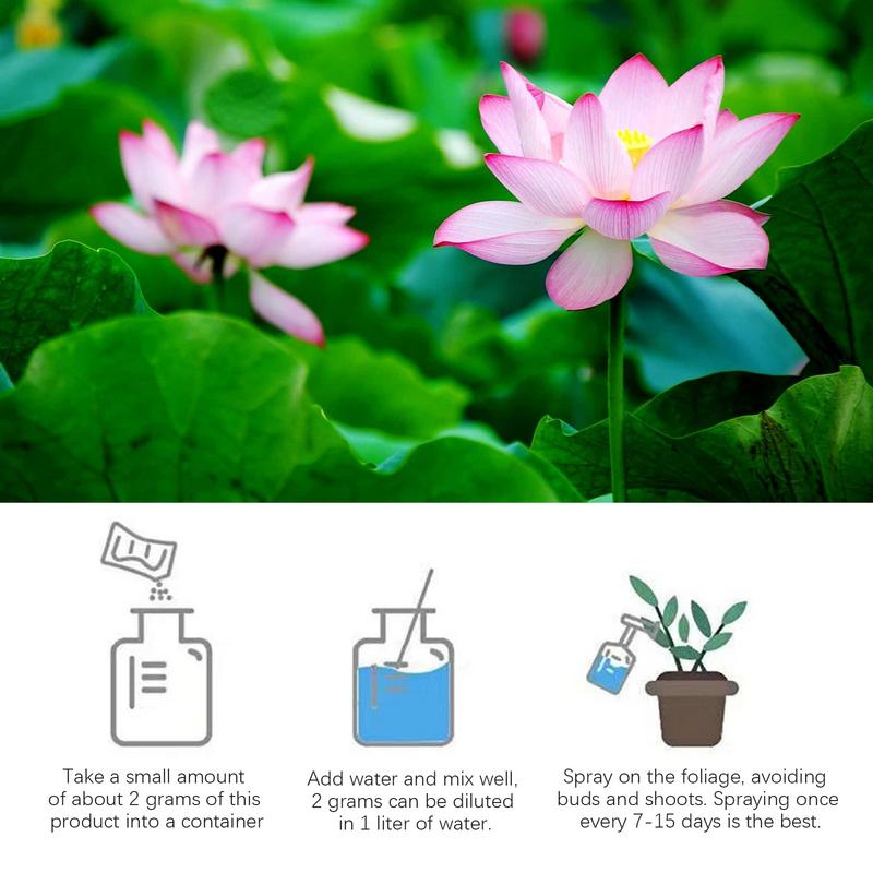 200g Natural Water Lily Flower - مراجعة Aquarium Plant Nutrients وسعره