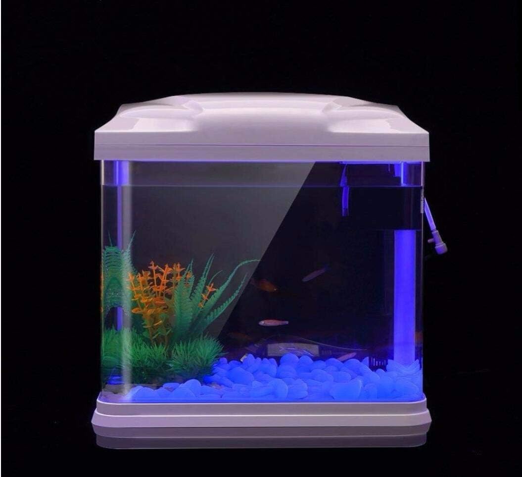 Fish Tank Rocks Glow Blue Pebb - مراجعة Aquarium For Planted Tank وسعره