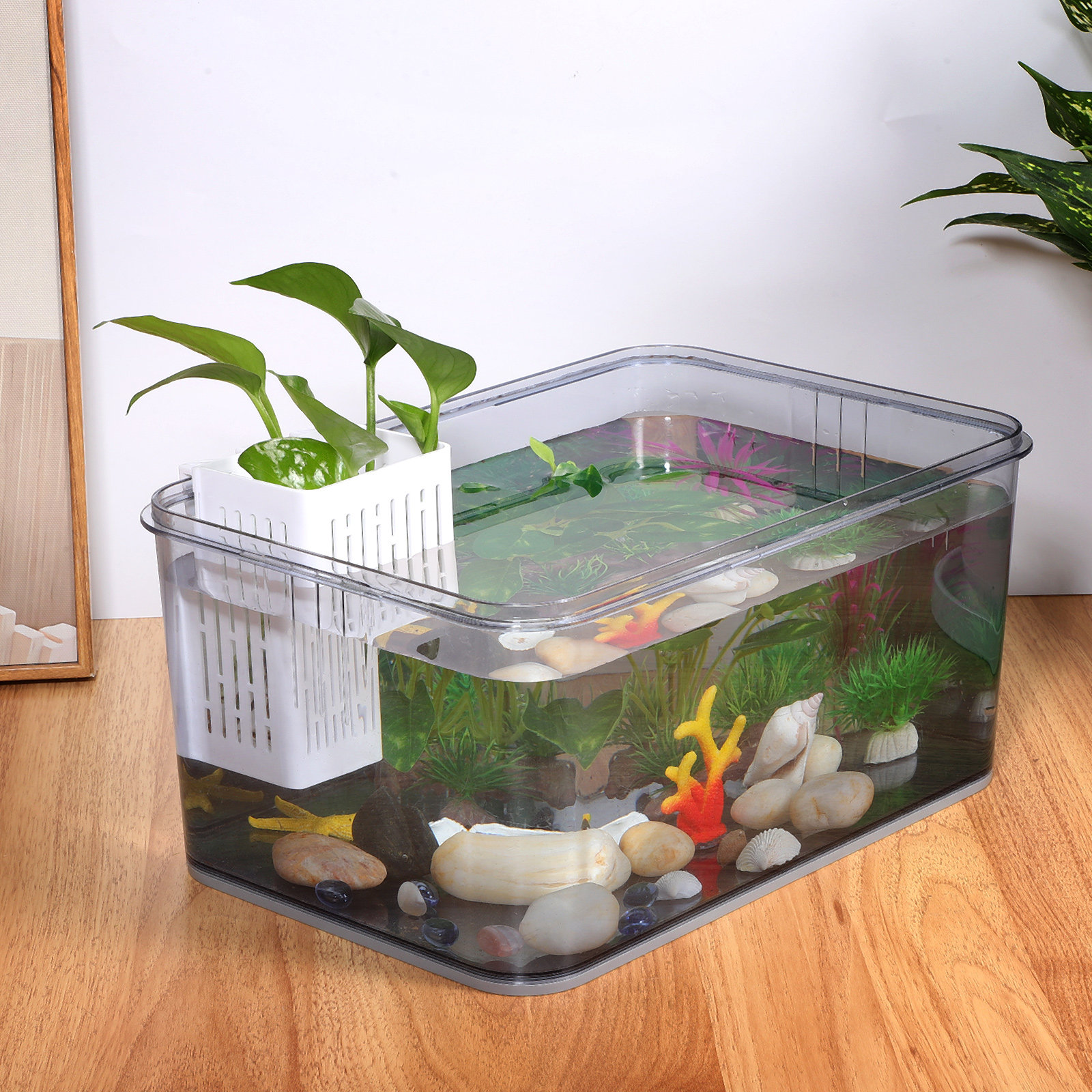 2pcs Aquarium Plant Baskets Pl - مراجعة Aquarium For Planted Tank وسعره