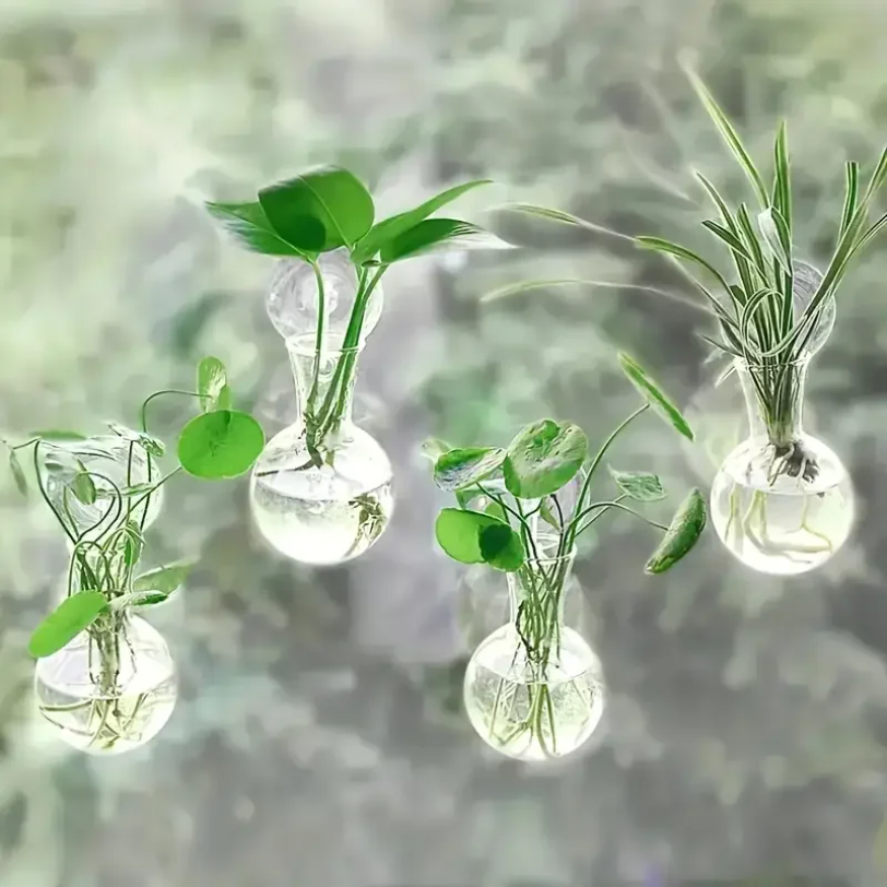 Creative Semi Circular Class W - مراجعة Aquarium Planted Wall وسعره