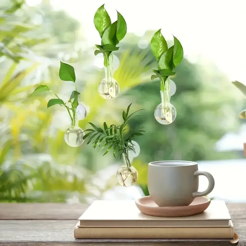 Creative Semi Circular Class W - مراجعة Aquarium Planted Wall وسعره