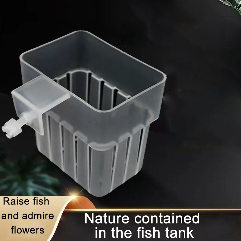 Aquarium Transparent Hydroponi - مراجعة Aquarium Planted Wall وسعره