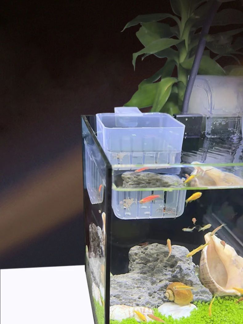 Aquarium Transparent Hydroponi - مراجعة Aquarium Planted Wall وسعره