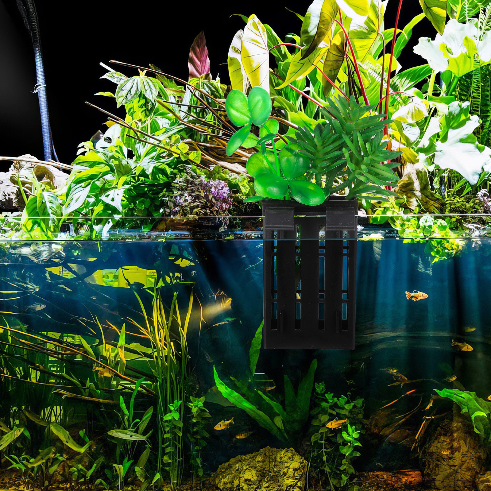 4Pcs Aquarium Plant Holder Set - مراجعة Aquarium Plant Nutrients وسعره