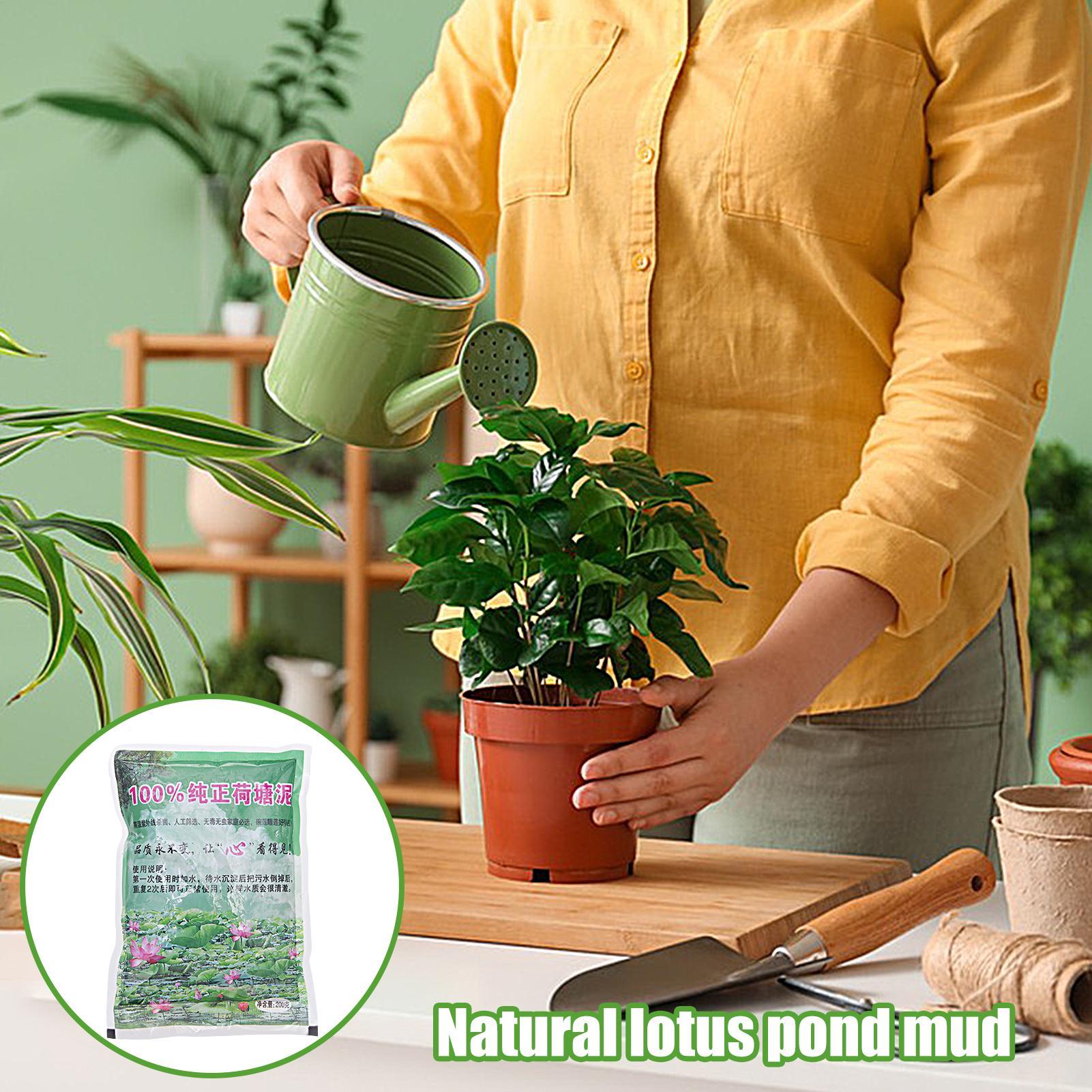 200g/bag Aquarium Soil Natural - مراجعة Aquarium Plant Nutrients وسعره