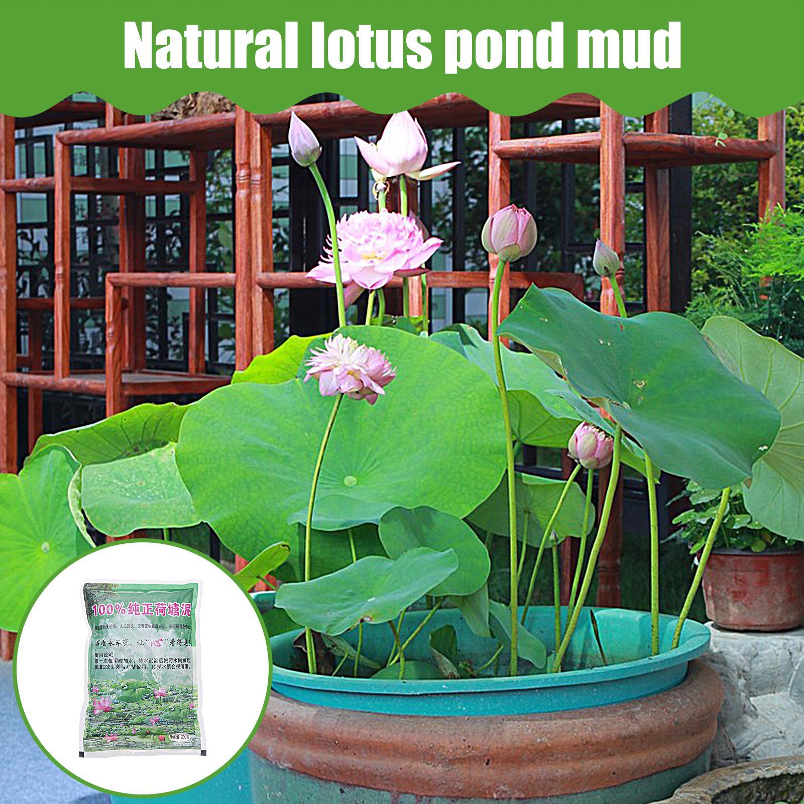 200g/bag Aquarium Soil Natural - مراجعة Aquarium Plant Nutrients وسعره