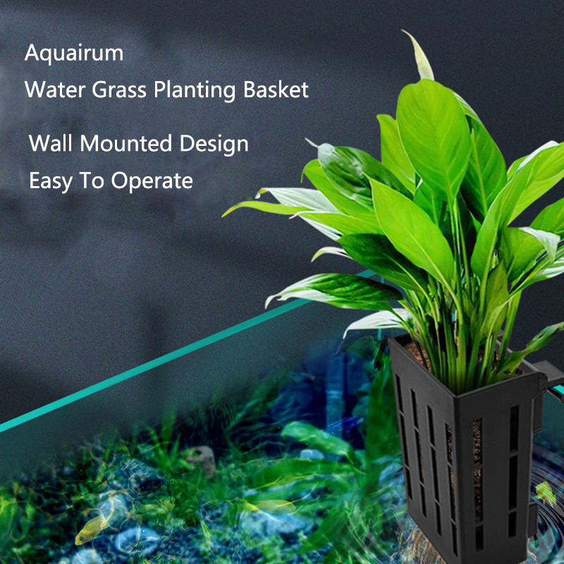 Black Aquarium Planting Basket - مراجعة Aquarium Planted Wall وسعره