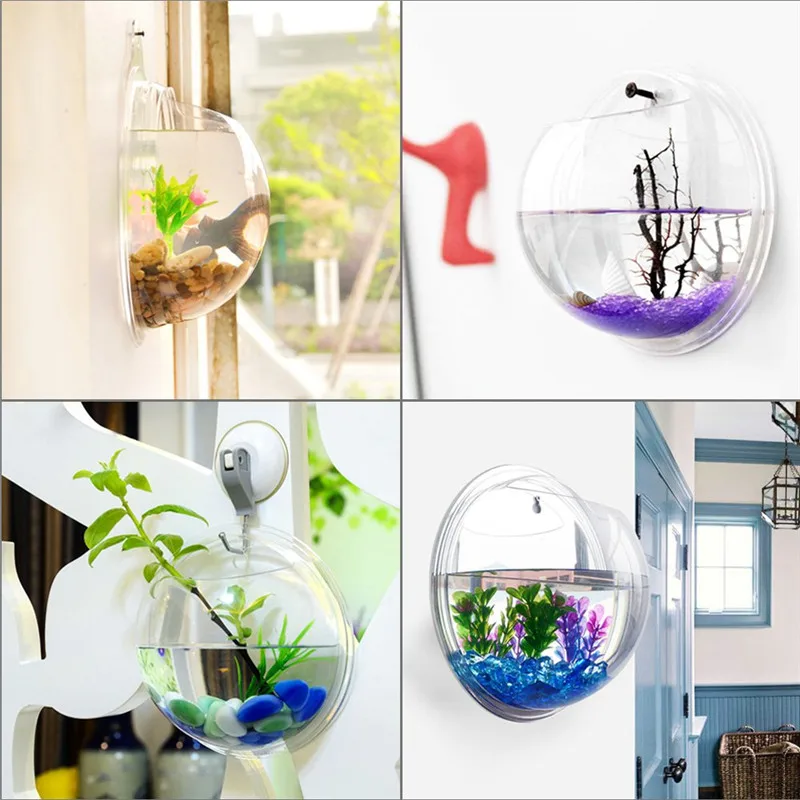 Transparent acrylic hanging wa - مراجعة Aquarium Planted Wall وسعره