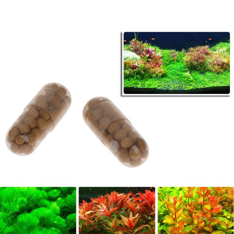 QX2E Aquarium Live Plant Ferti - مراجعة Planted Aquarium Best Fish وسعره