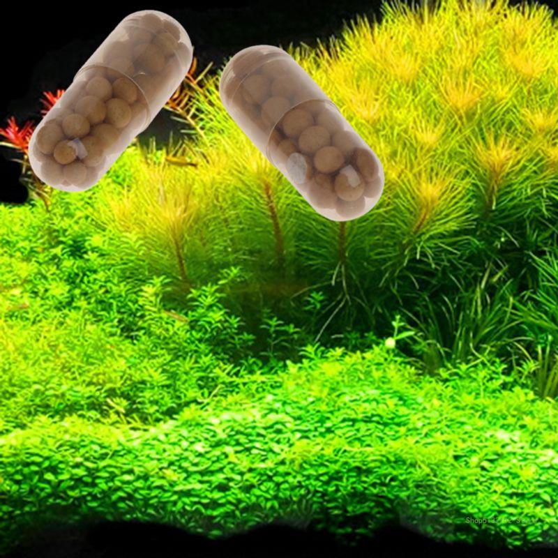 QX2E Aquarium Live Plant Ferti - مراجعة Planted Aquarium Best Fish وسعره