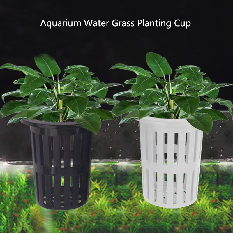 1/3Pcs Aquarium Plant Basket W - مراجعة Aquarium Planted Wall وسعره