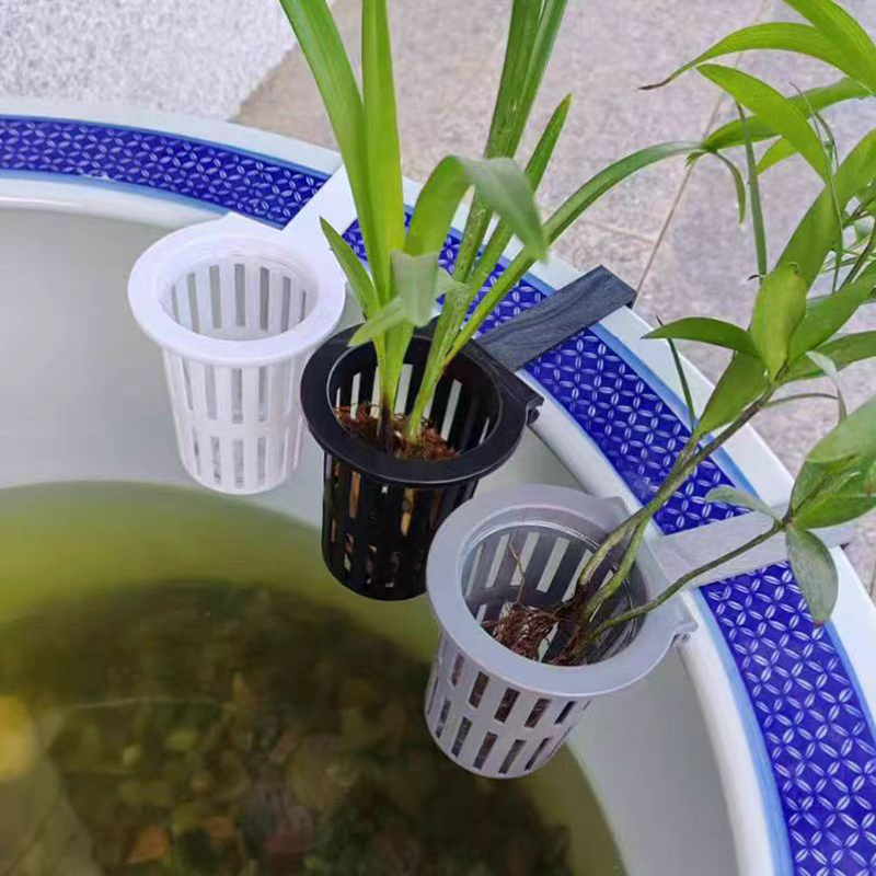 1/3Pcs Aquarium Plant Basket W - مراجعة Aquarium Planted Wall وسعره