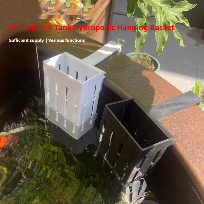 1/3Pcs Aquarium Plant Basket W - مراجعة Aquarium Planted Wall وسعره