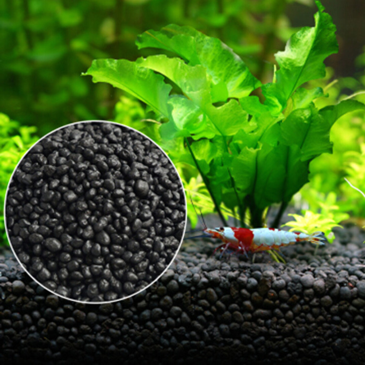 Aquarium Plant Seeds Soil Fish - مراجعة Aquarium For Planted Tank وسعره
