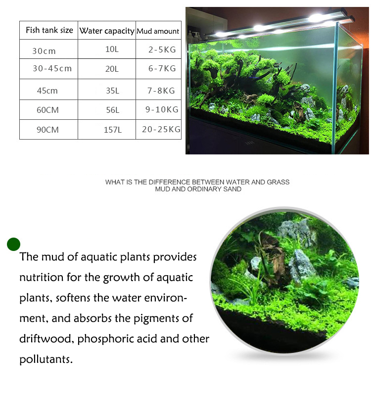 Aquarium Plant Seeds Soil Fish - مراجعة Aquarium For Planted Tank وسعره