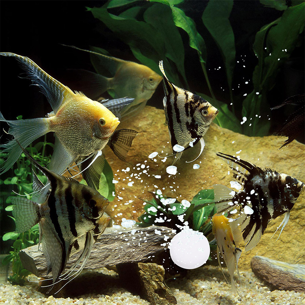 3 Bags Co2 Tablets Effective B - مراجعة Aquarium Plant Nutrients وسعره