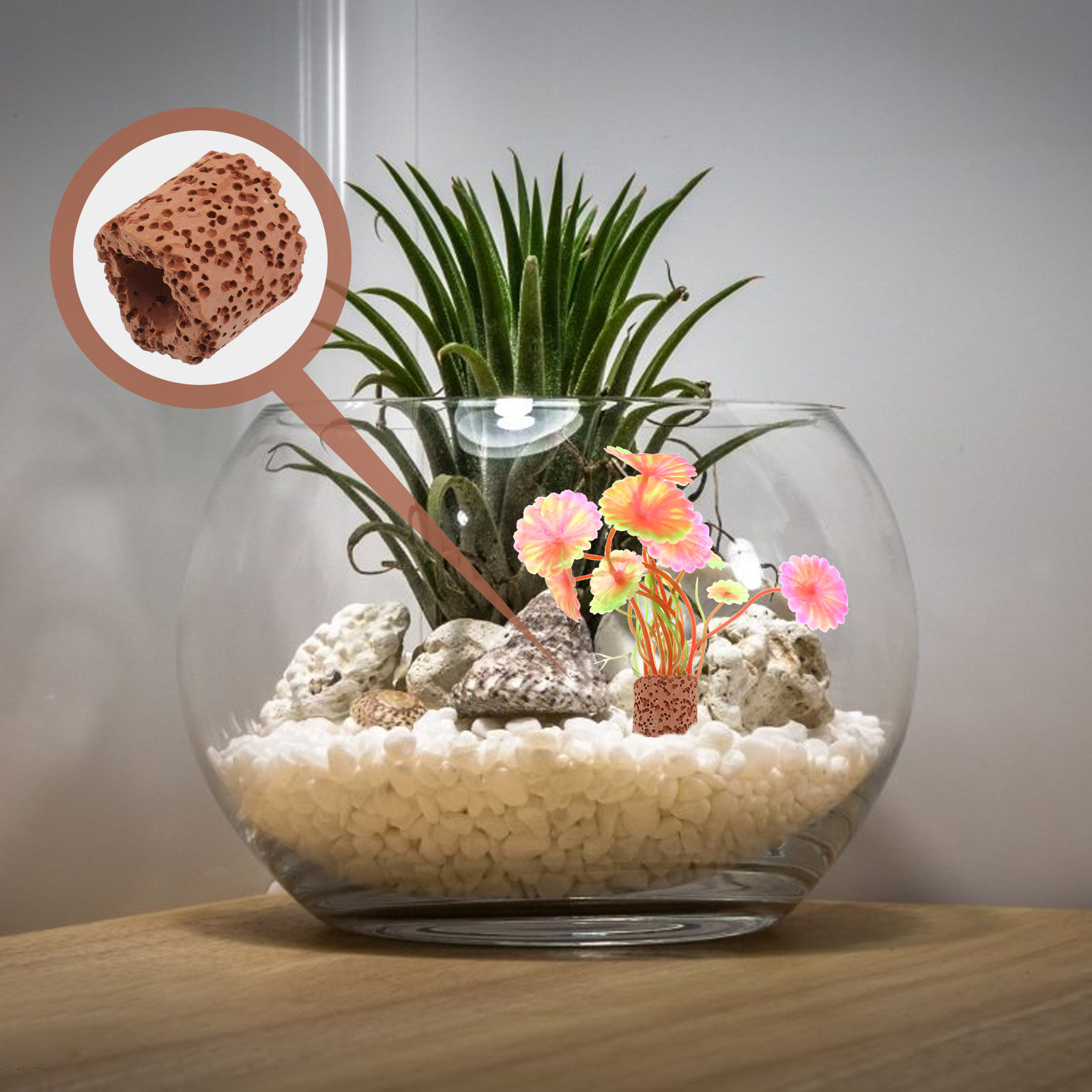 10Pcs Sturdy Water Plant Fixed - مراجعة Aquarium For Planted Tank وسعره