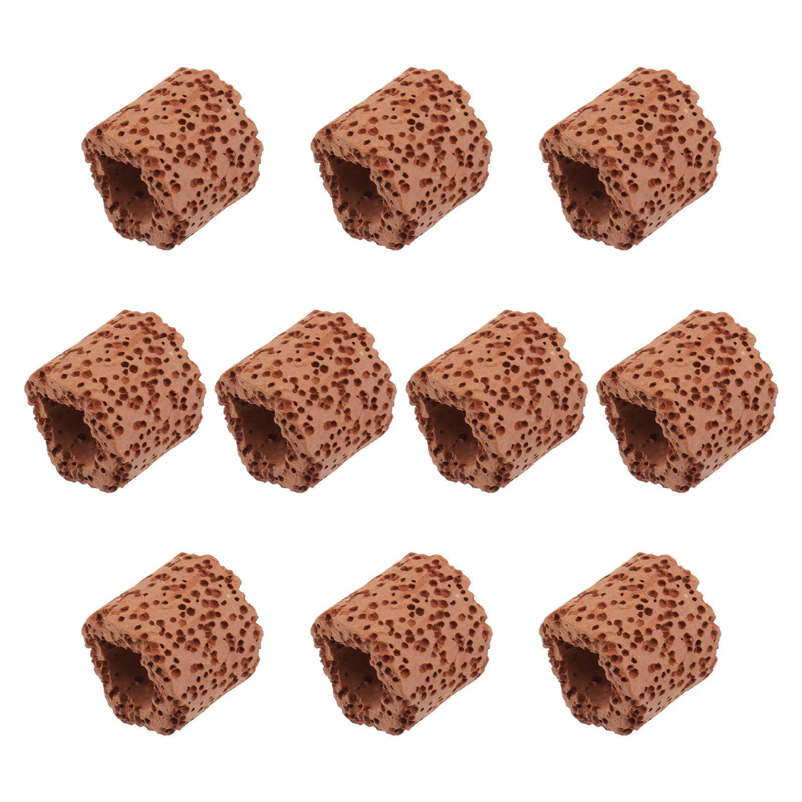 10Pcs Sturdy Water Plant Fixed - مراجعة Aquarium For Planted Tank وسعره