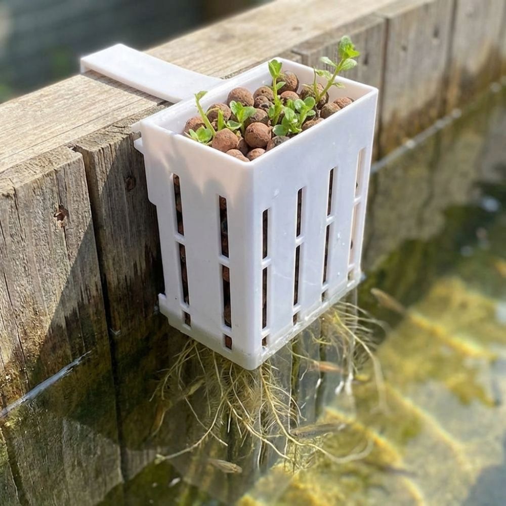 Wall-Mounted Aquarium Plant Ba - مراجعة Aquarium Planted Wall وسعره