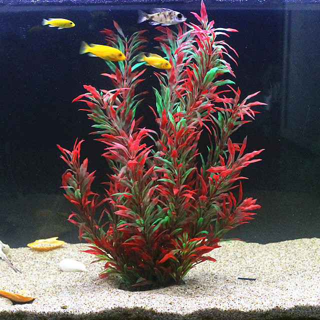 50CM Artificial Fish Tank Rare - مراجعة Aquarium For Planted Tank وسعره