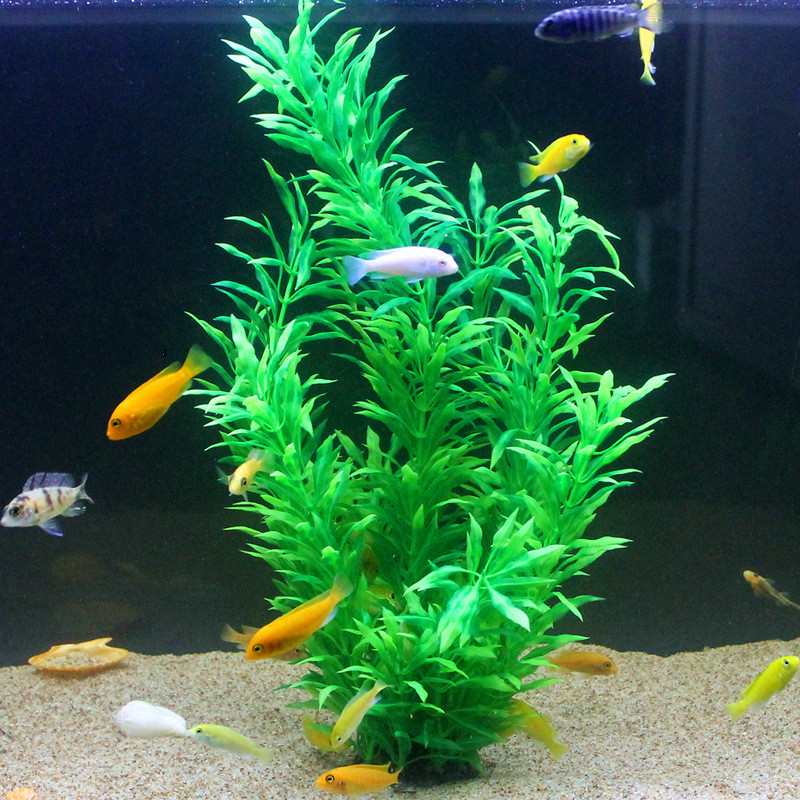 50CM Artificial Fish Tank Rare - مراجعة Aquarium For Planted Tank وسعره