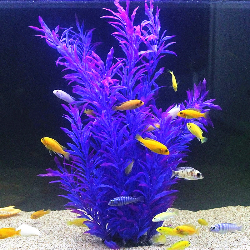 50CM Artificial Fish Tank Rare - مراجعة Aquarium For Planted Tank وسعره