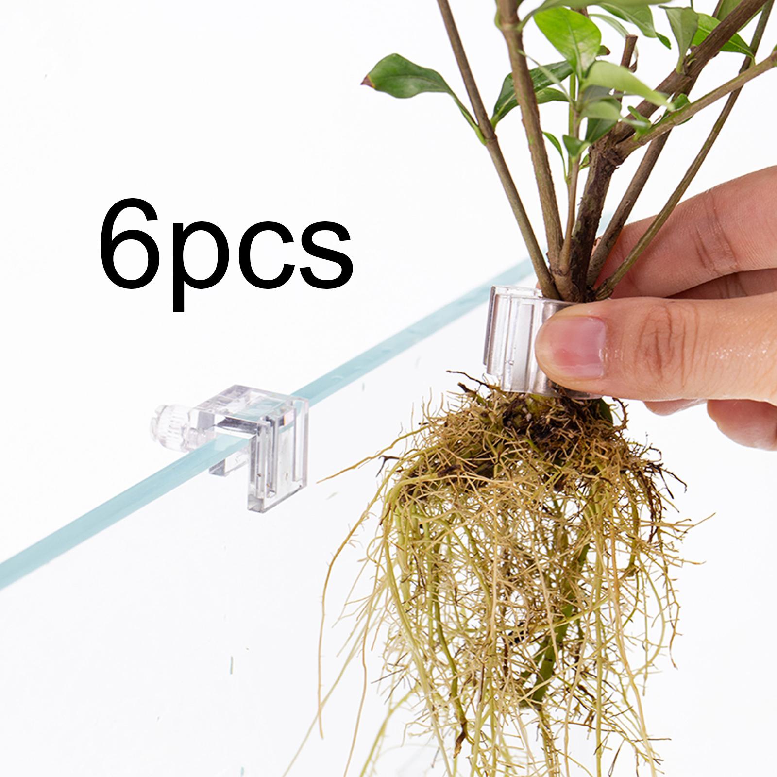 Durable Transparent Plant Hold - مراجعة Aquarium Planted Wall وسعره