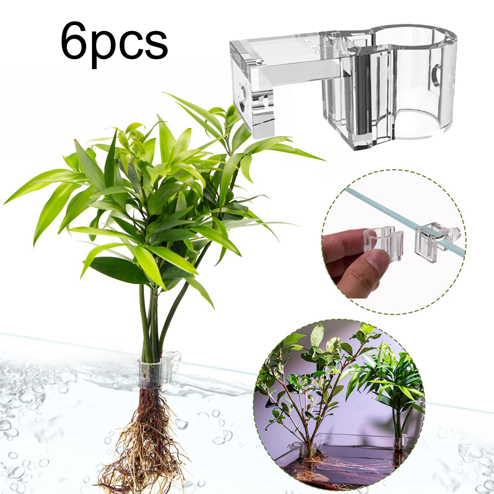 Durable Transparent Plant Hold - مراجعة Aquarium Planted Wall وسعره