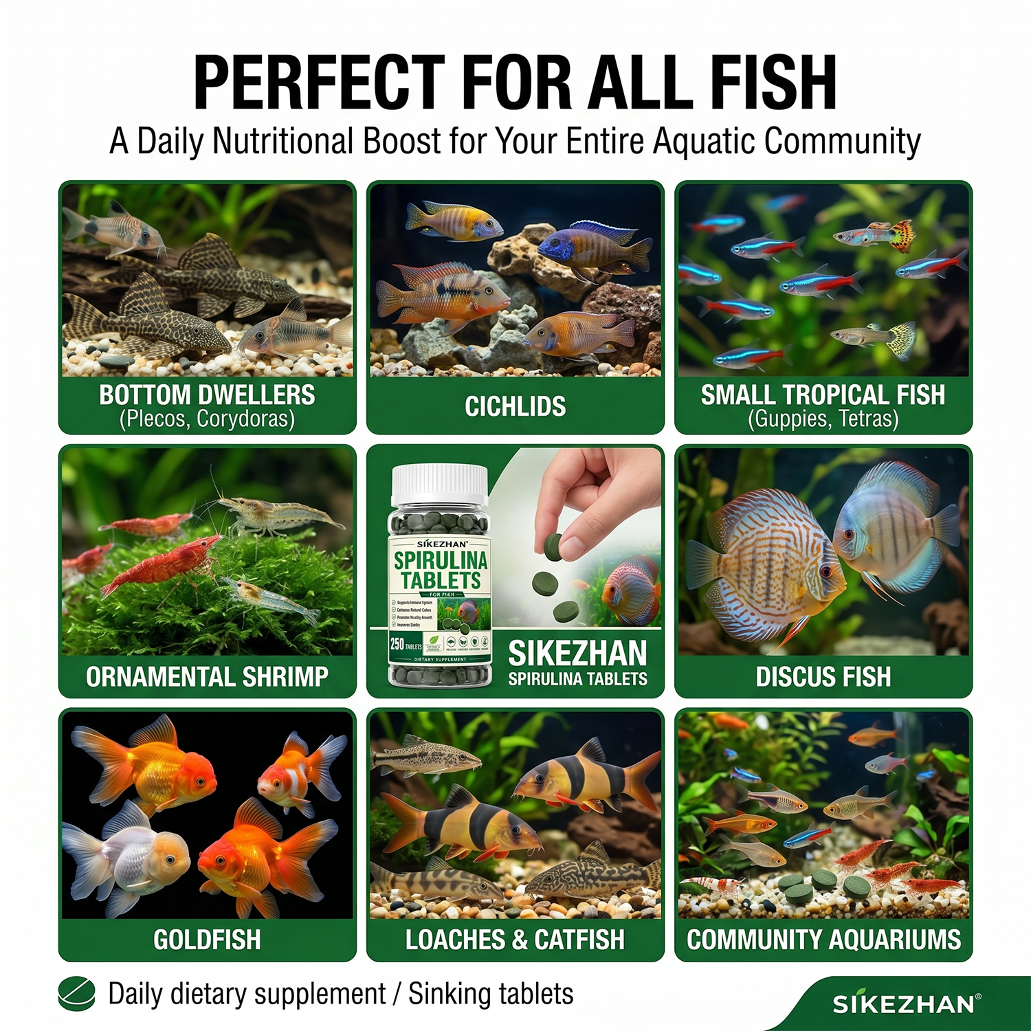 3 Bottles Spirulina Tablets Aq - مراجعة Aquarium Plant Nutrients وسعره