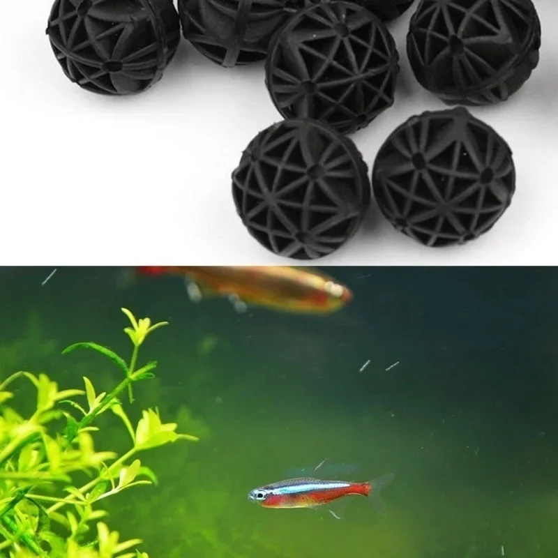 20Pcs 16mm Aquarium Filter Bio - مراجعة Aquarium For Planted Tank وسعره
