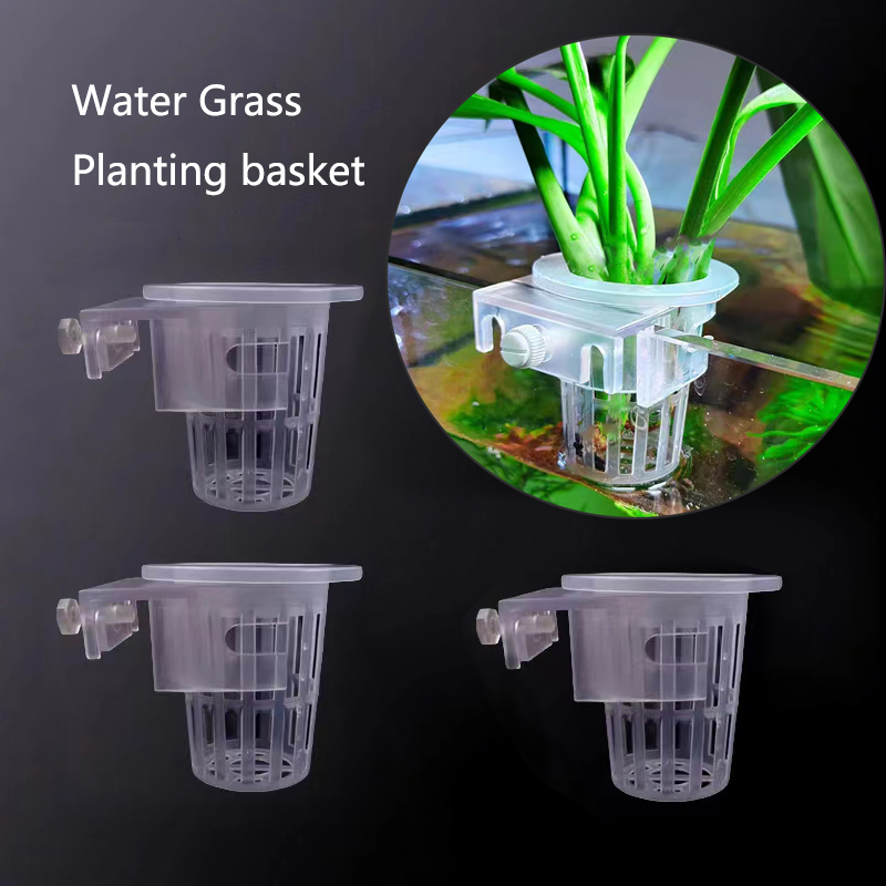 Aquarium Planting Basket Hydro - مراجعة Aquarium Planted Wall وسعره