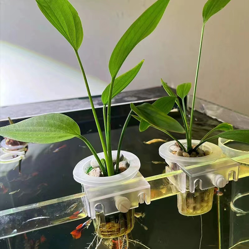 Aquarium Planting Basket Hydro - مراجعة Aquarium Planted Wall وسعره