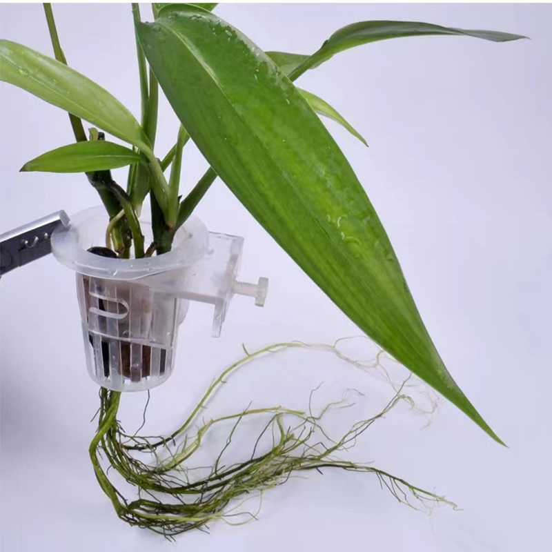 Aquarium Planting Basket Hydro - مراجعة Aquarium Planted Wall وسعره