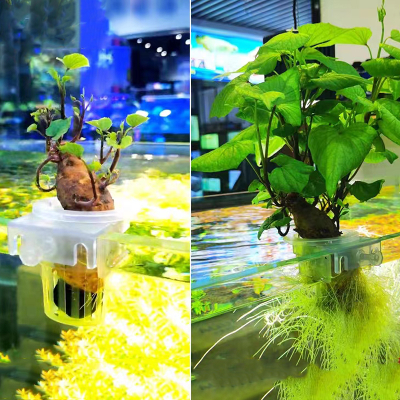 Aquarium Planting Basket Hydro - مراجعة Aquarium Planted Wall وسعره