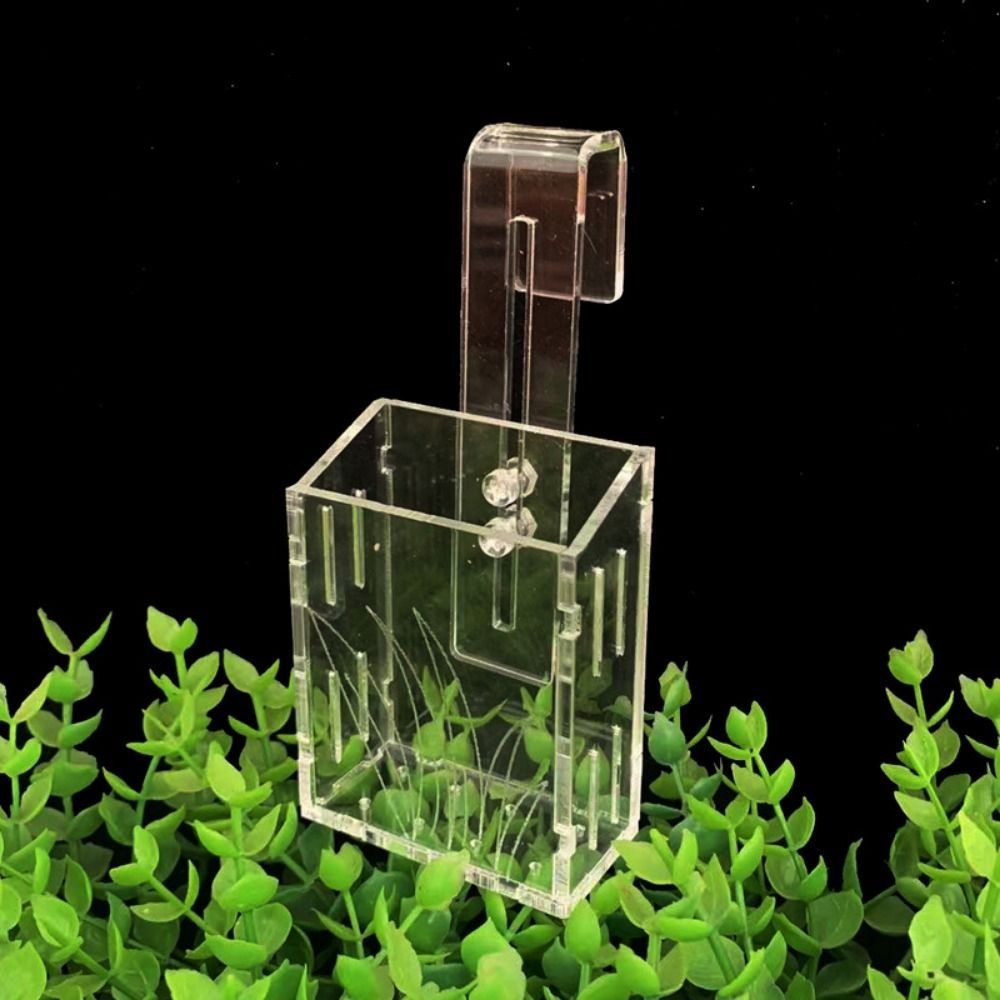 Wall Hanging Aquarium Plants C - مراجعة Aquarium Planted Wall وسعره