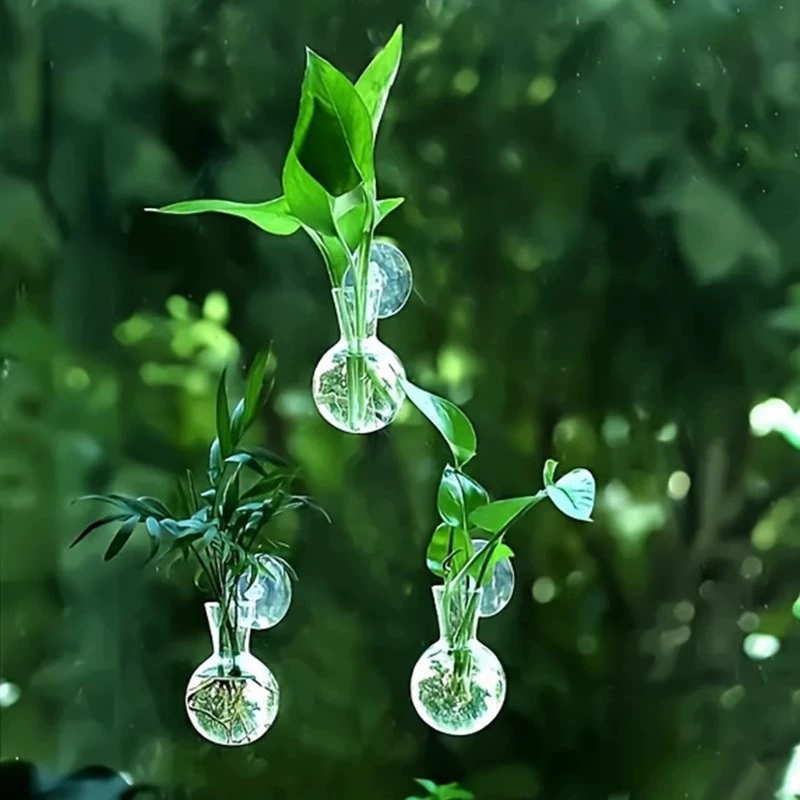Creative Semi Circular Class W - مراجعة Aquarium Planted Wall وسعره
