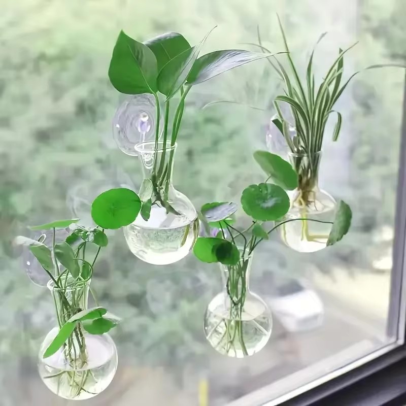 Creative Semi Circular Class W - مراجعة Aquarium Planted Wall وسعره