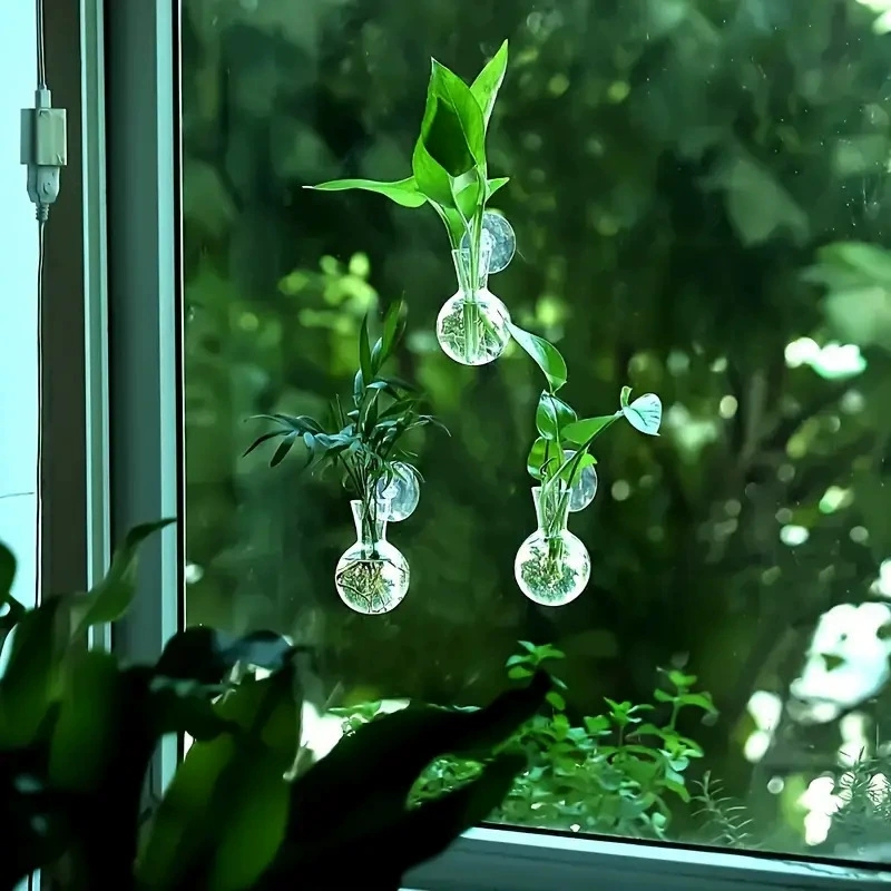 Creative Semi Circular Class W - مراجعة Aquarium Planted Wall وسعره